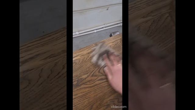 Двери из дуба. Покрытие маслом