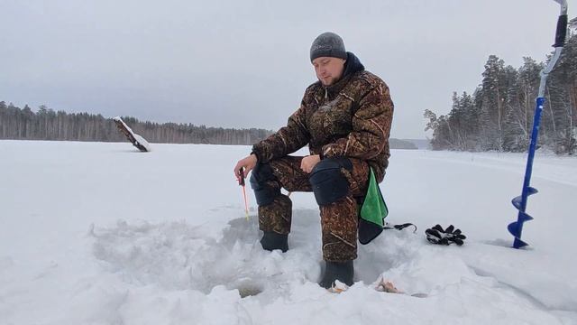 Второй день рыбалки на окуня.Два одинаковых снегохода Irbis Dingo T-150.Сибирь 2023 г.