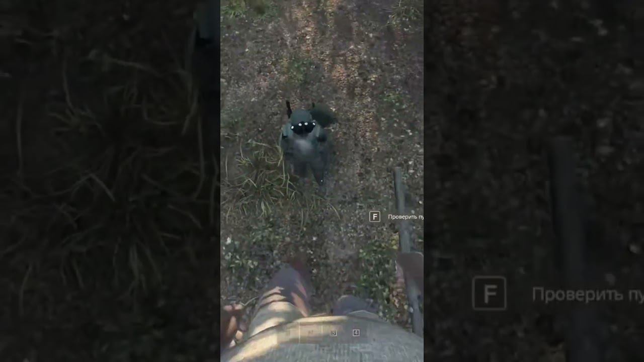 дед скукожился #dayz #illusionoflive