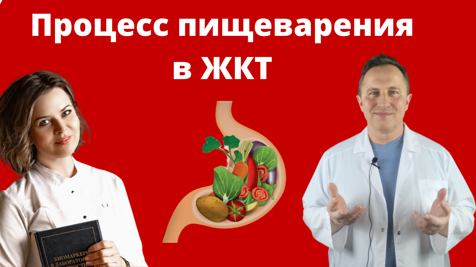 Процесс пищеварения в ЖКТ.
Беседа доктора Алексея Штаба и доктора Татьяны Притыкиной.