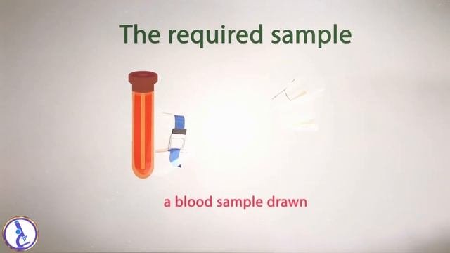 Allergy Blood Testing