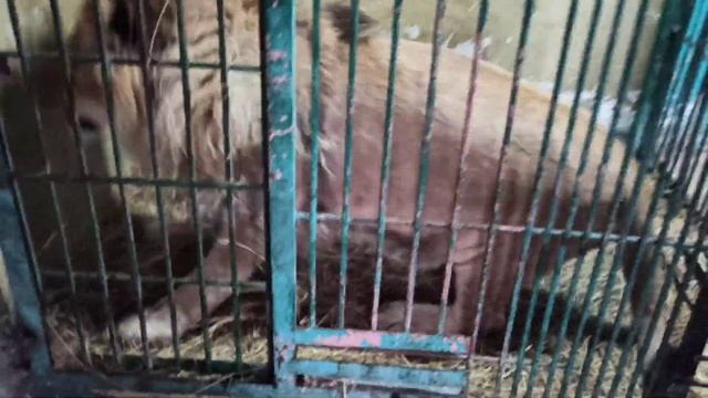 Симбон балдежник???❤ Октябрь 2021года.