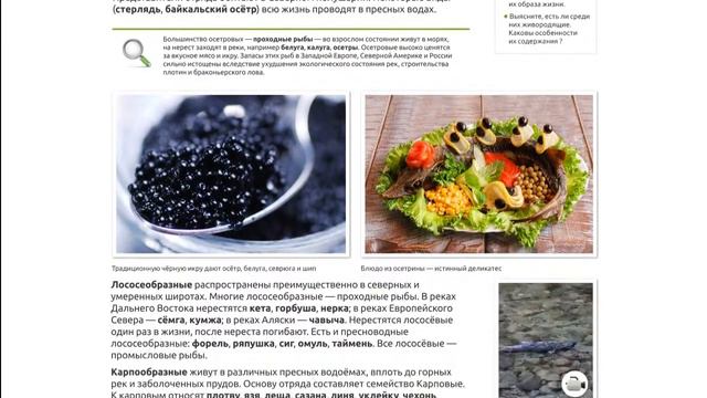 Биология 7 (Biology 7)
