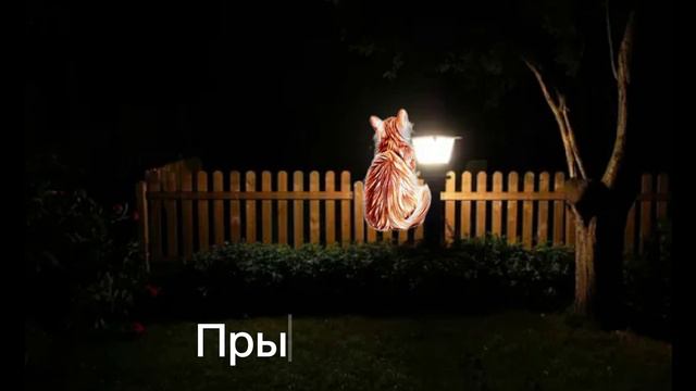 во ещё одно#видио мои сразу говарю!!!