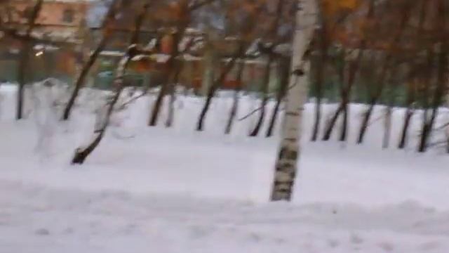 Пустоши обетованные