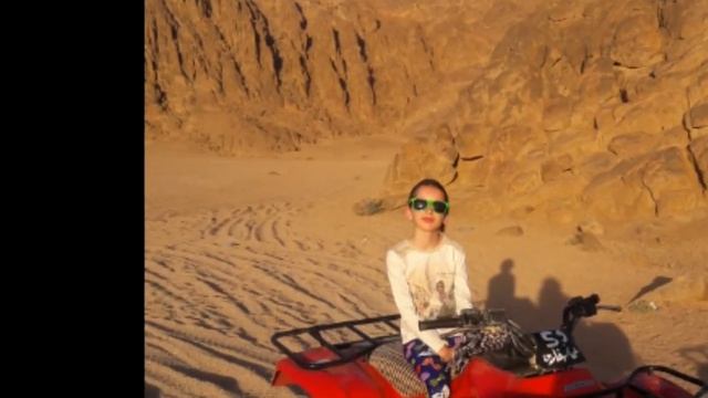 Safari sharm 2017