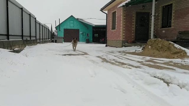 Пришла весна.Выпал снег.А мы на летней резине.