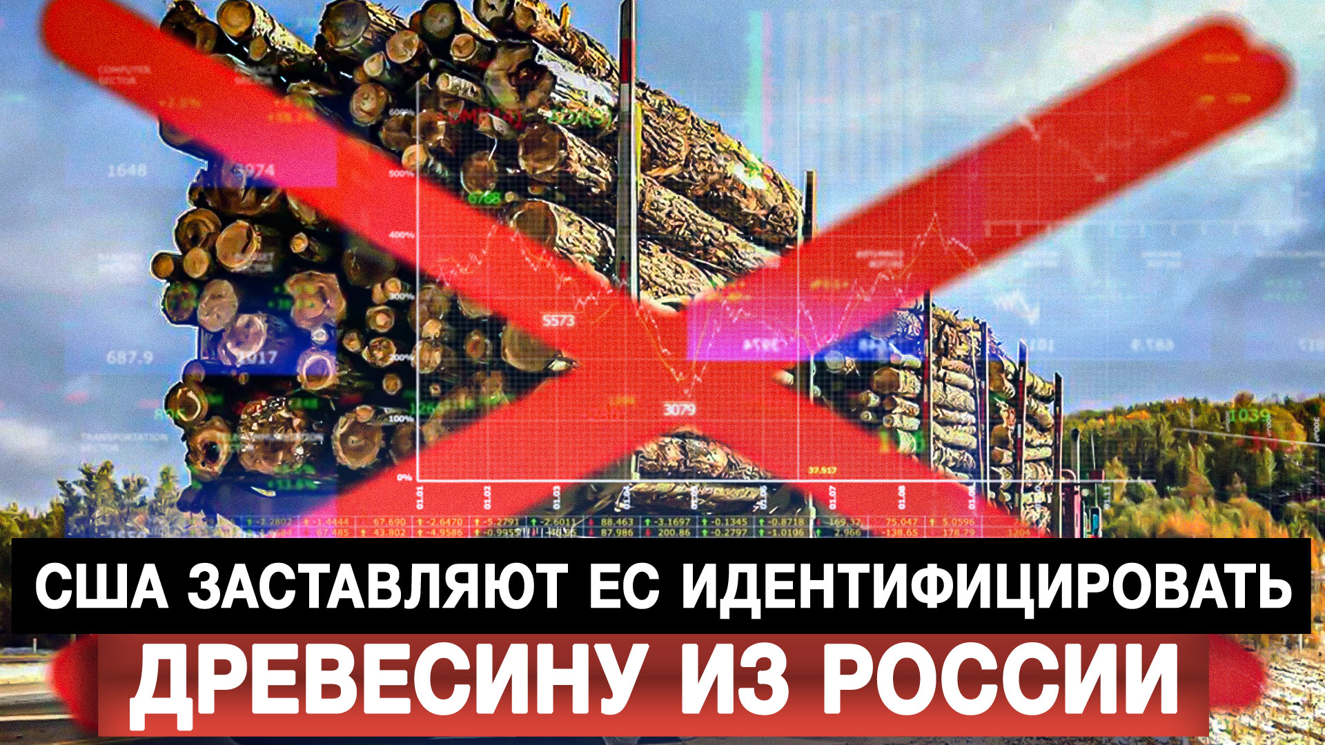 США заставляют ЕС идентифицировать древесину из России