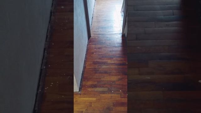 Паркет+ в Ижевске(2)