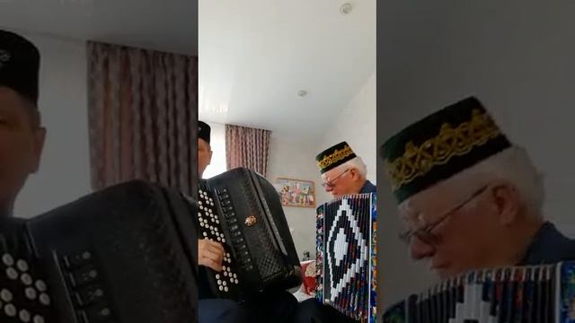 Поппури на татарские народные на Баяне с Гармонью.