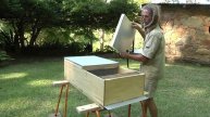 Horizontal Hives https://horizontalhives.wordpress.com/