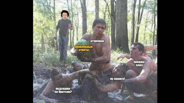 мемы