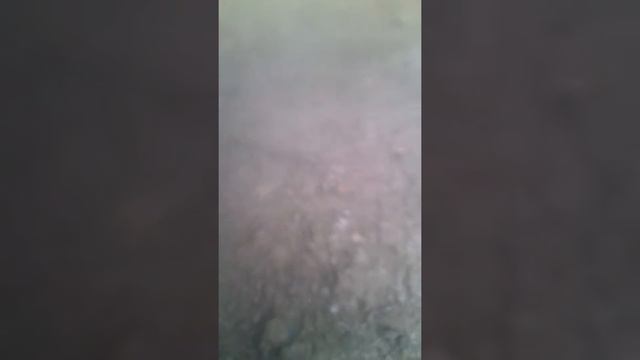 Вызов духа ШАХТЁРА : Это полная жесть!.