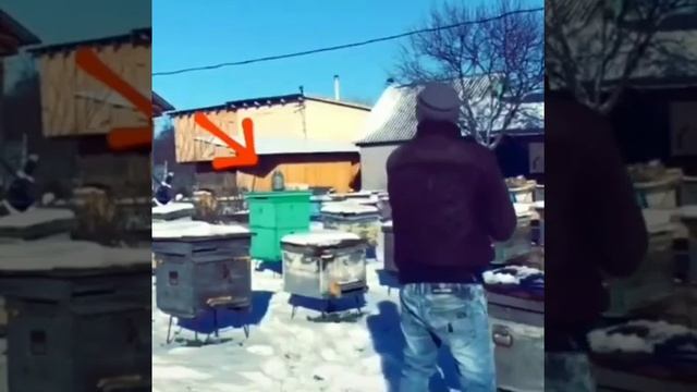 снайпер