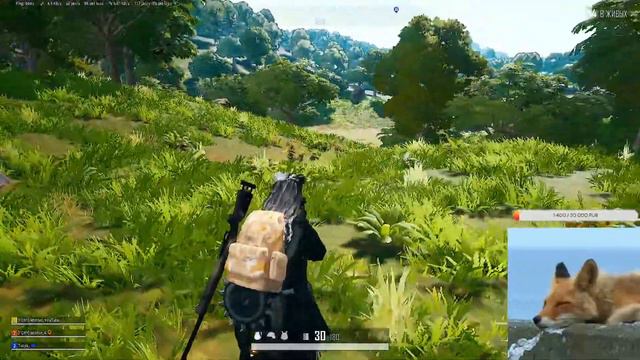 Mother🦊PUBG BATTLEGROUNDS /Что тут происходит?/Девушка стримит🐾