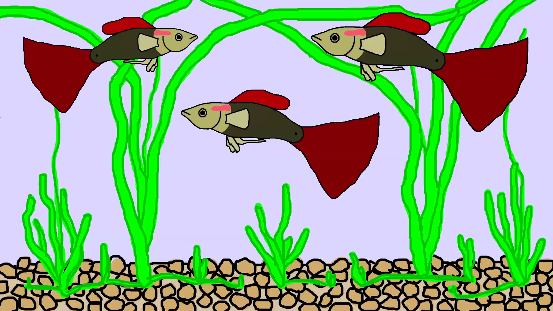 Я нарисовал рисунок аквариумные рыбки