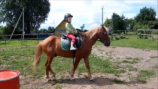 Маленький начинающий ковбой)