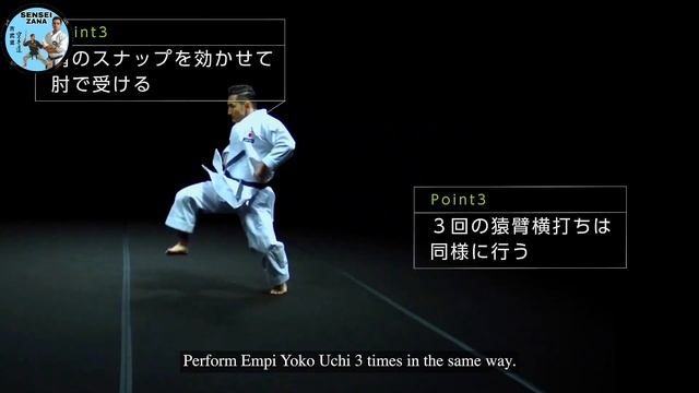 Tutorial Video of Shotokan-Ryu Heian Sandan [360°Viewing system]  #shotokan #heiansandan