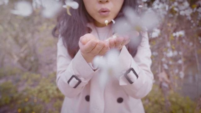 Цветение Сакуры.Sakura Flowering.Релакс и медитация под расслабляющую музыку.
