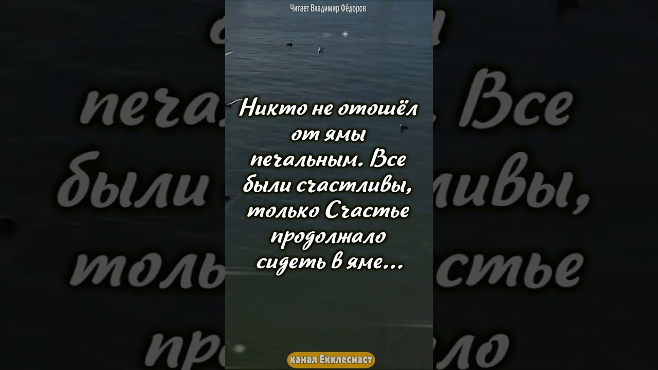 Притча "Как быть Счастливым..."#мудрость #цитаты #shorts