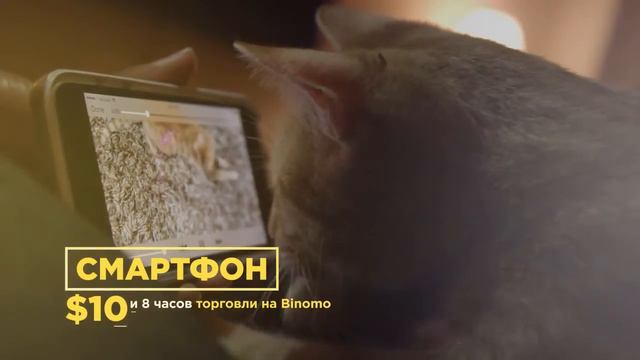 ПУТЕШЕСТВИЕ МЕЧТЫ, СМАРТФОН, УЖИН ДЛЯ ЛЮБИМОЙ, ТОРГОВЛЯ НА BINOMO