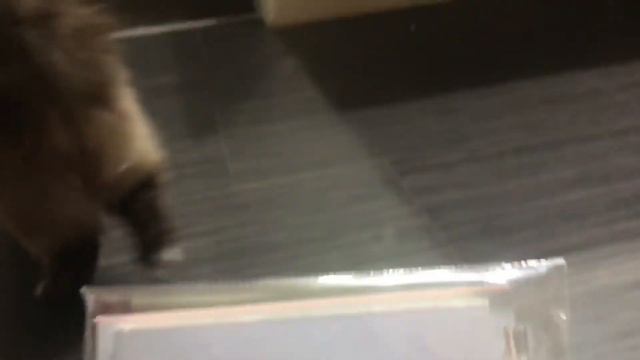 Нам прислали посылку!