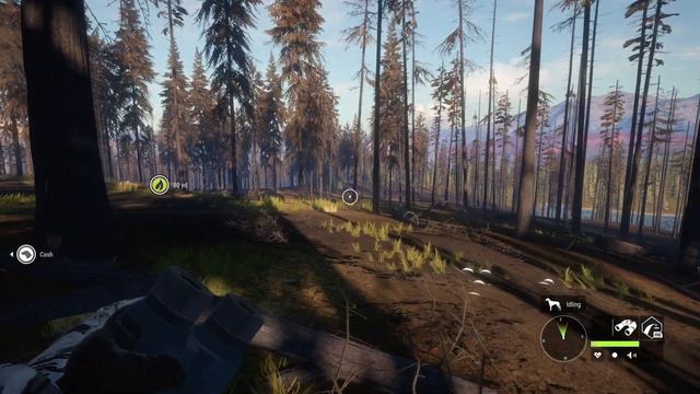 theHunter™ Call of the Wild Yukon Valley Free Hunt