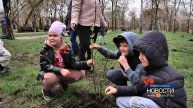 Сиреневый сад появился в Новокузнецке