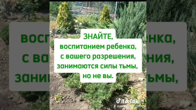 Родители! Воспитывайте детей своих сами, не отдавайте их силам тьмы.