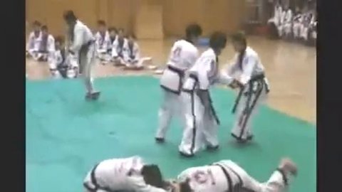 Ulsan city demo team 2009: Korea Hapkido Federation