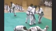 Ulsan city demo team 2009: Korea Hapkido Federation