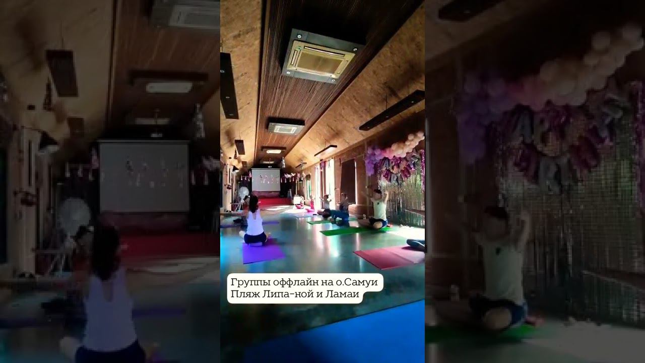 #йоганасамуи #samuiyoga #samuiactivities #thailand #yogis #practice