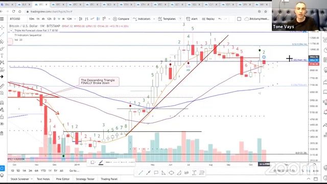 Ниже не будет! Биткоин обновит максимум цены через 3 месяца