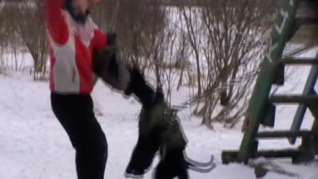 Глорис Русская Сенсация