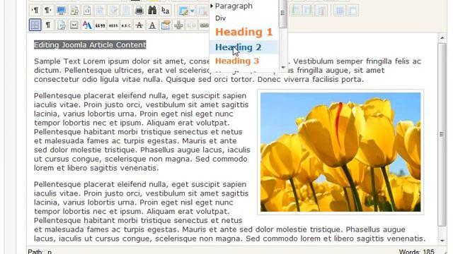 Joomla CMS - Editing Page Articles