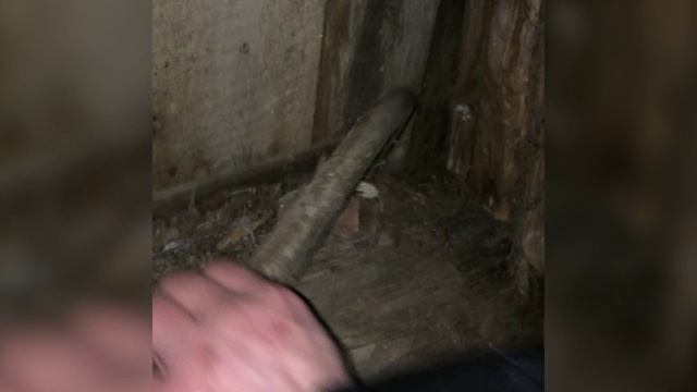 Сабля