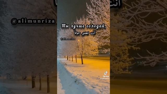 Мудрость