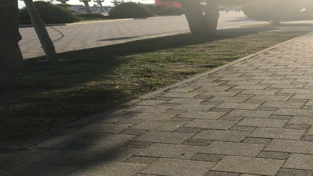 Холодное сердце. Как полюбить?