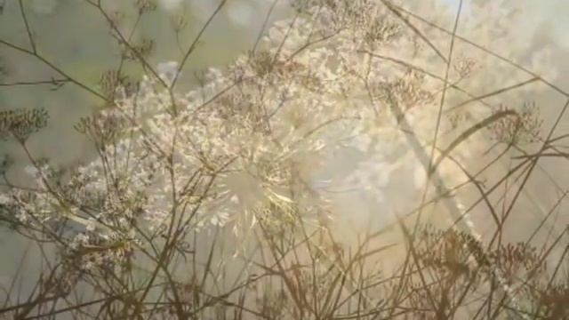 Природа и музыка - 2 (Лето)