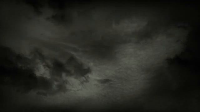 Александр Деркач Кот. Невозврат