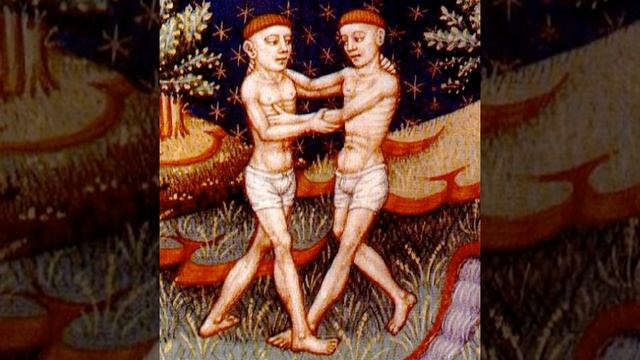 Gemini and Capricorn Compatibility