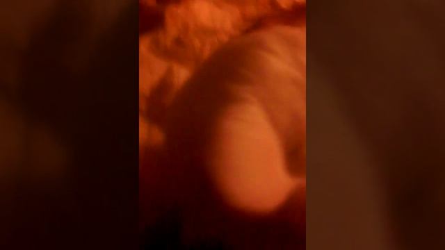 Что любит и  не любит делать Софа