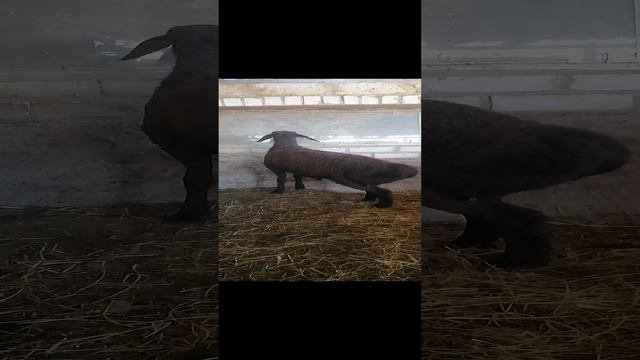 VID_20240707_132939