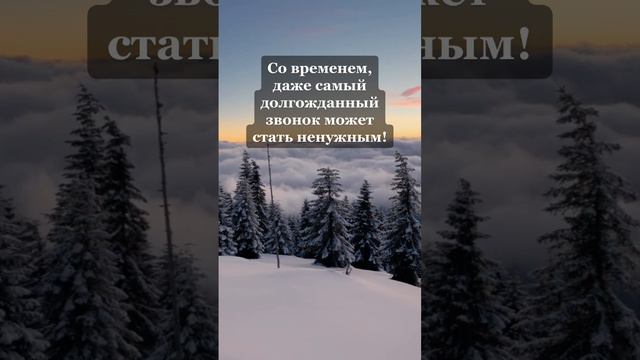 Все нужно делать вовремя    #цитаты #афоризмы