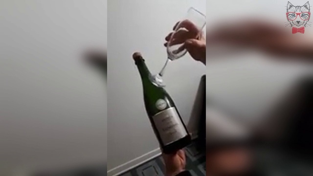 Клёвая крошка суёт бутылку в вагину