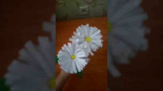ромашка из бумаги #музыка