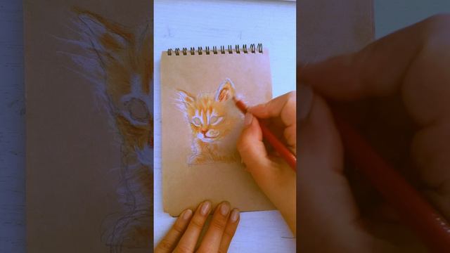 Котенок карандашами