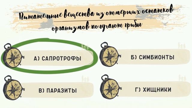 ?ТЕСТ: КРУТОЙ ЛИ ТЫ ГРИБНИК?!?
