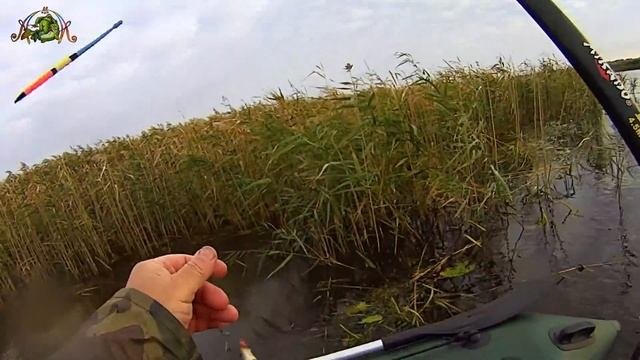 Рыбалка на поплавок.КРАСНОПЁРКА В ТРОСТНИКЕ.