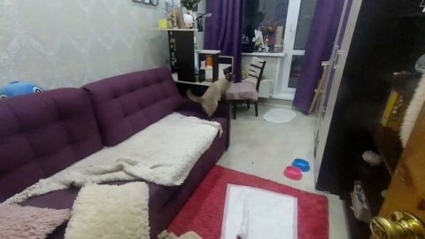 24.09.22 Капуста